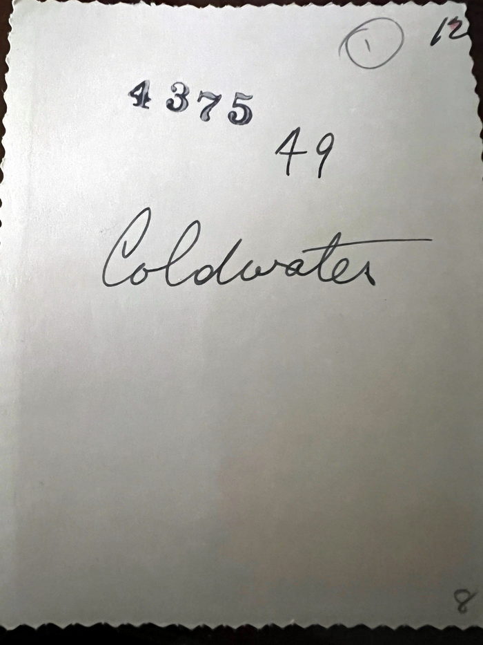 Coldwater Drive-In Theatre - Coldwater Drive-In Back Of Photograph Al Johnson 1949  (newer photo)